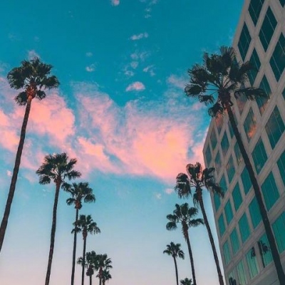 超級(jí)無(wú)敵小柿子